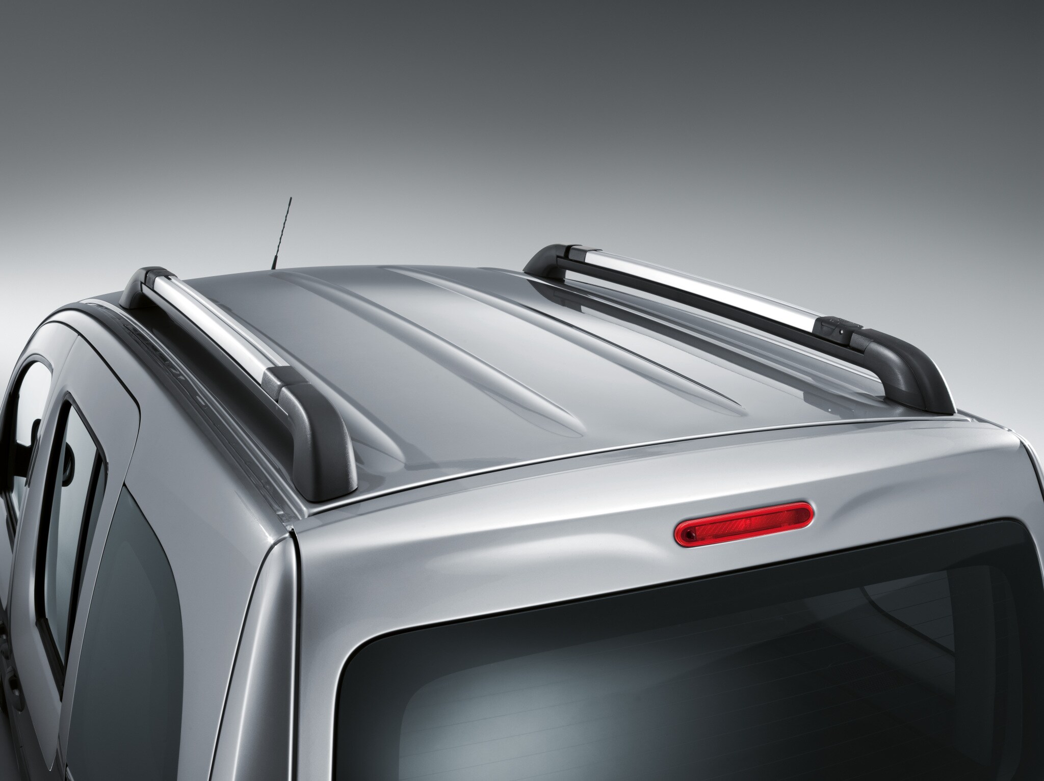 Roof rails with integral basic carrier