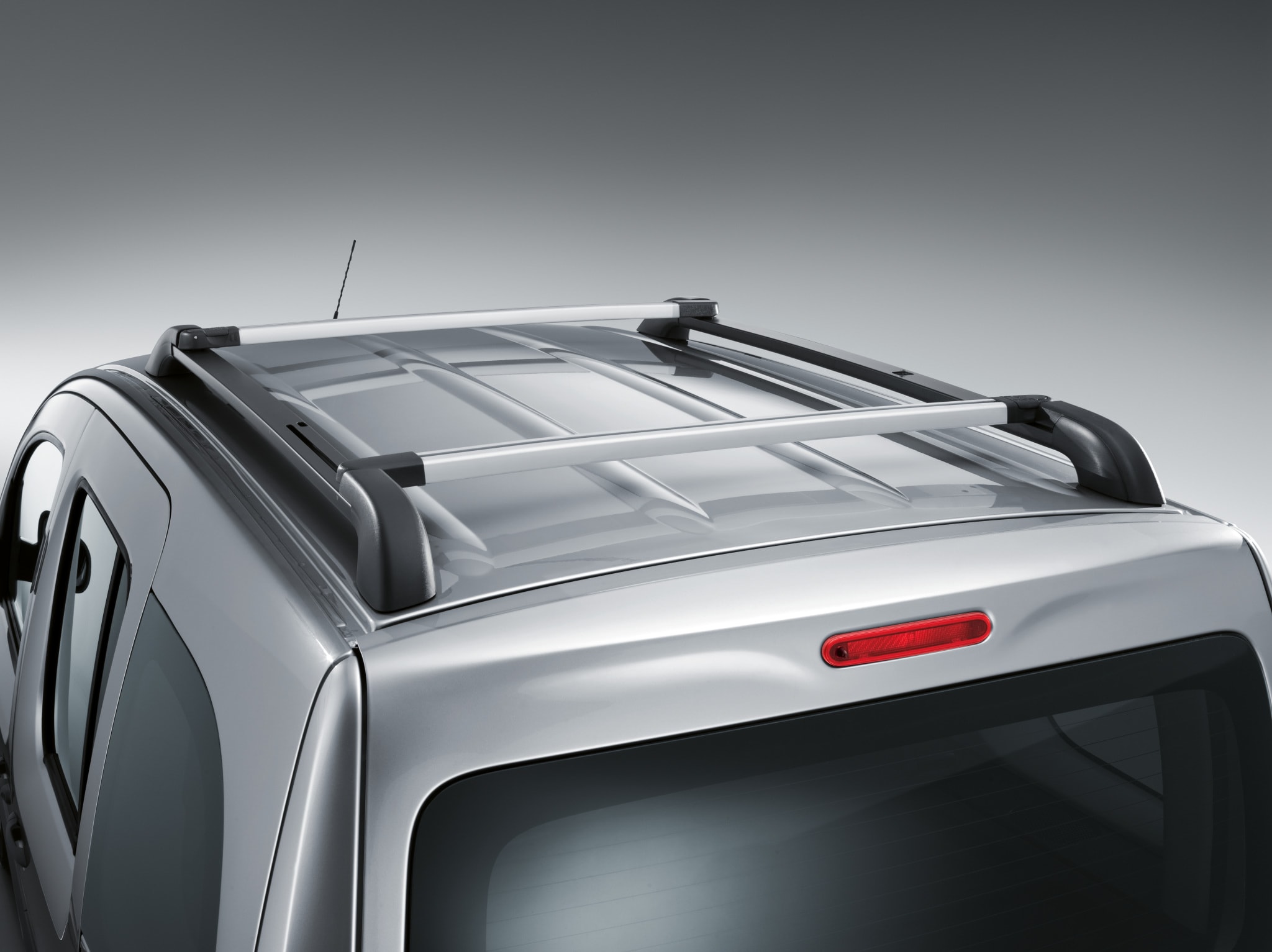 Roof rails with integral basic carrier bars